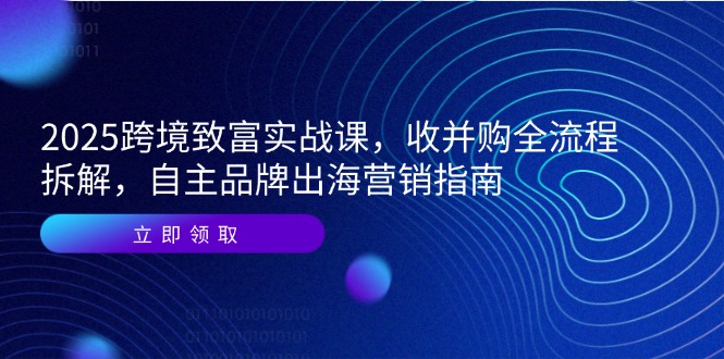（14975期）2025跨境致富实战课，收并购全流程拆解，自主品牌出海营销指南-极速网创