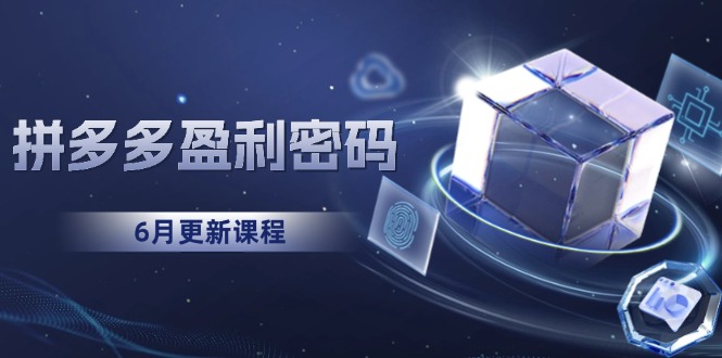 （15005期）拼多多盈利密码：从烧钱推广到印钞模型，底层逻辑重构指南（6月更新）-极速网创