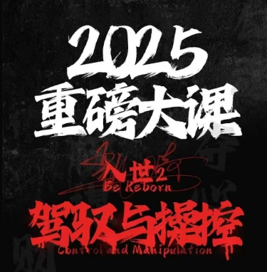 2025重磅大课，入世2，驾驭与控制-极速网创