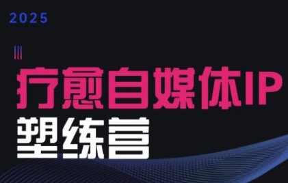 2025治愈自媒体IP训练营，专为疗愈领域从业者打造-极速网创