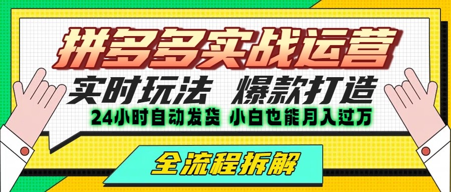 拼多多最新实战运营高投产：长久稳定项目，单店利润一天三位数-极速网创