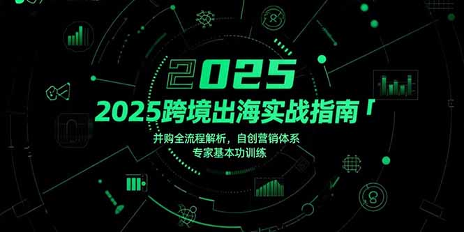 （15503期）2025跨境出海实战指南，并购全流程解析，自创营销体系，专家基本功训练-极速网创