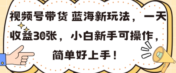 视频号带货蓝海新玩法，一天收益3张，小白新手可操作，简单好上手!-极速网创