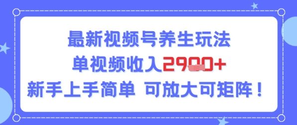 视频号养生玩法，单视频收入2.9k，新手上手简单-极速网创