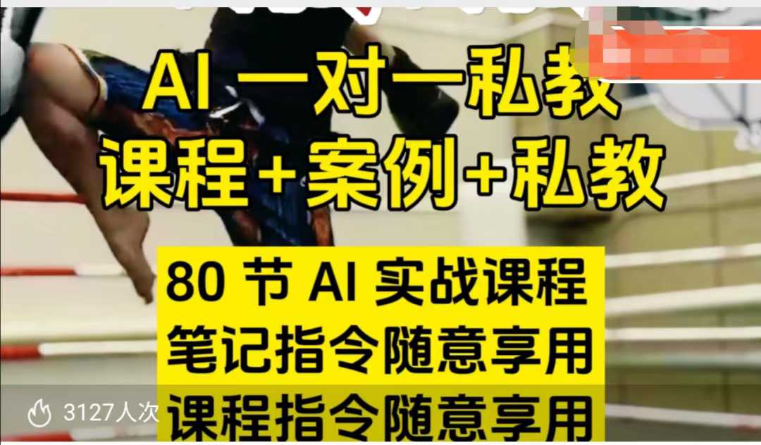 AI指令实战课，课程+案例，80节AI实战课程，笔记指令随意享用，课程指令随意享用（更新7月）-极速网创