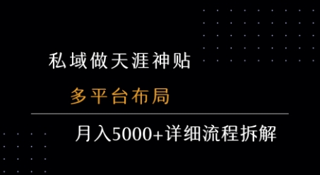 私域做天涯神贴 多平台布局 月入5k+详细流程拆解-极速网创