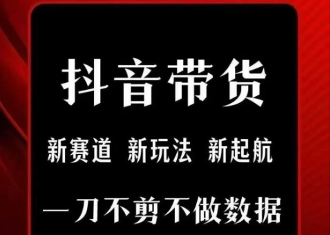 抖音短视频一刀不剪带货，不剪辑，不直播，每天发个视频，等着出单获取带货佣金-极速网创