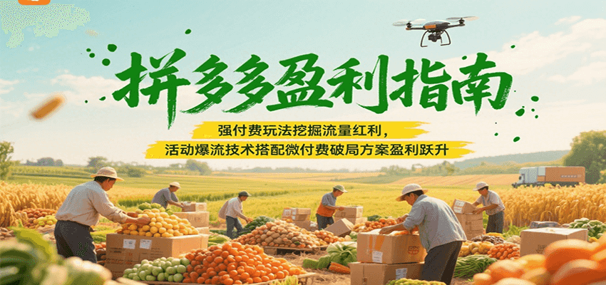 拼多多盈利指南：强付费玩法挖掘流量红利，活动爆流技术搭配微付费方案实现盈利跃升-极速网创