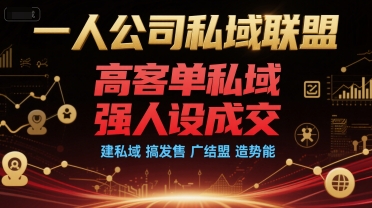 一人公司私域联盟，高客单私域，强人设成交，建私域 搞发售 广结盟 造势能-极速网创