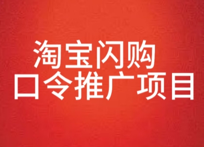 淘宝闪购口令推广项目，收益可观，一部手机，一个抖音号即可操作-极速网创