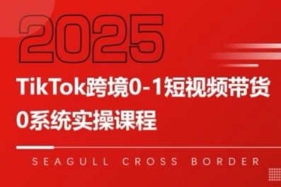 TikTok跨境0-1短视频带货，系统拆解TikTok跨境带货全链路，实现跨境可持续盈利-极速网创