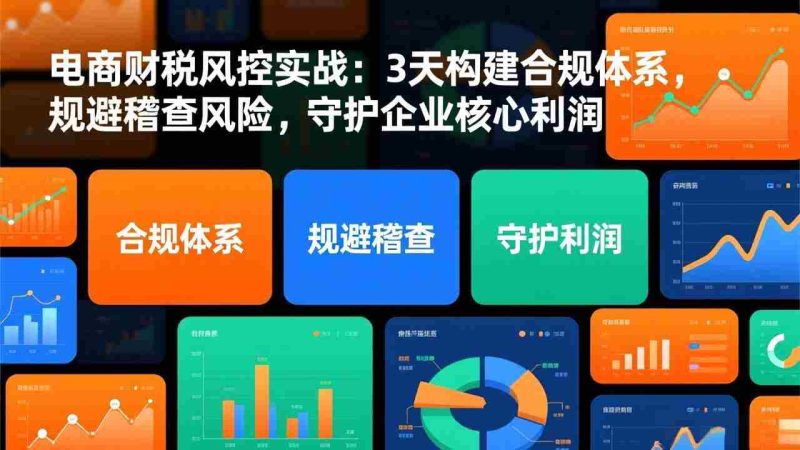 (17197期)电商财税风控实战:3天构建合规体系,规避稽查风险,守护企业核心利润-极速网创