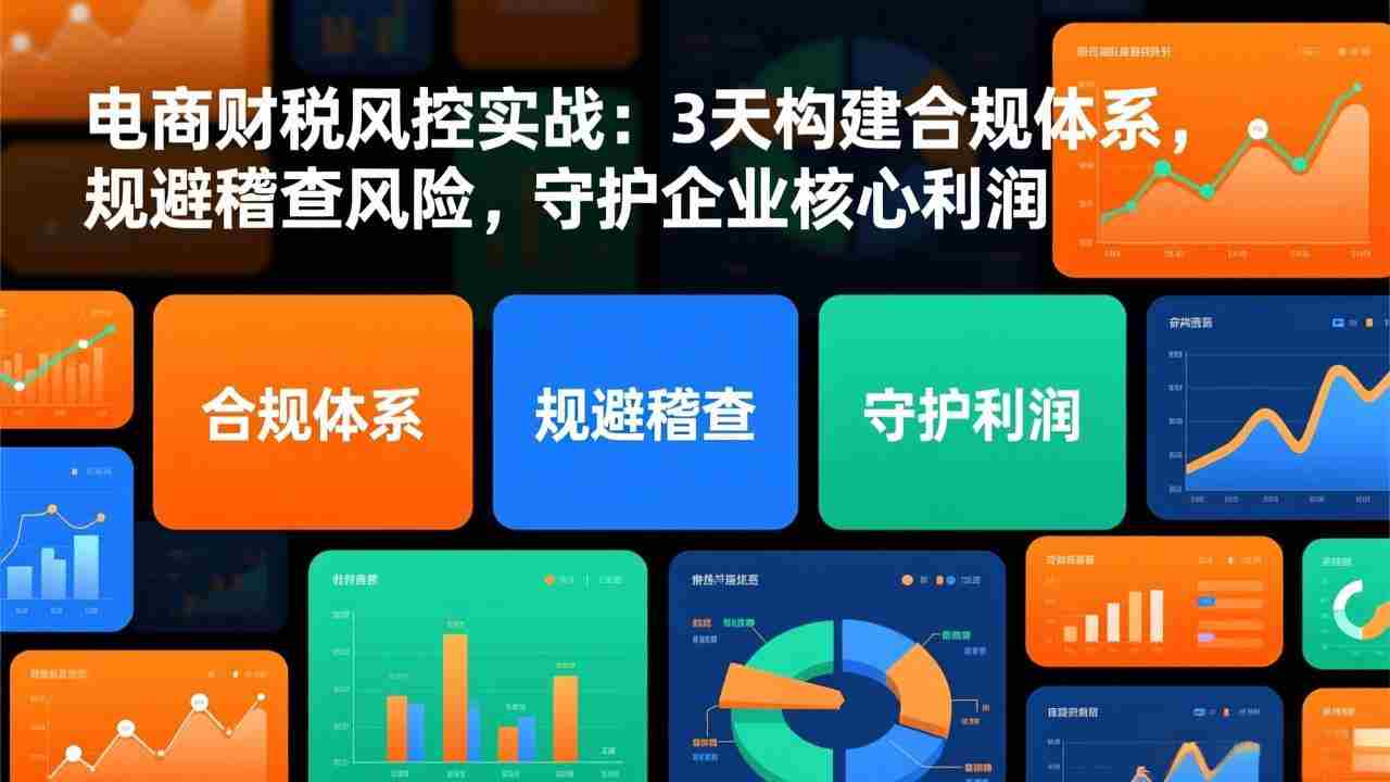 （17197期）电商财税风控实战：3天构建合规体系，规避稽查风险，守护企业核心利润-极速网创