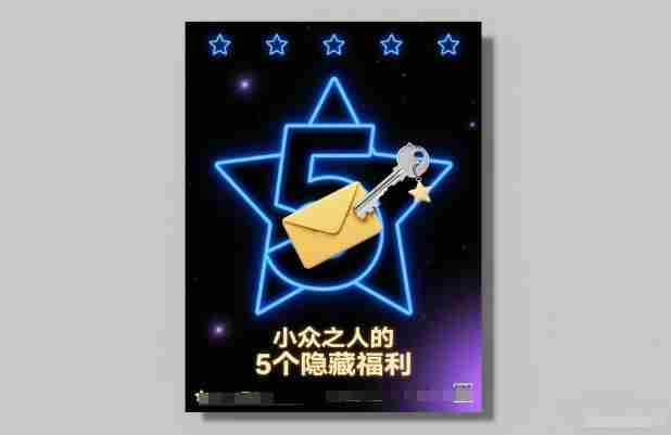 付费文章:小众之人的5个隐藏福利-极速网创