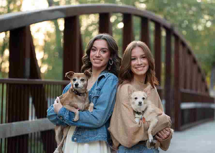 图片[1]-（17403期）大师级GTG出品-老友记系列AI自适应预设The Friends Preset Collection