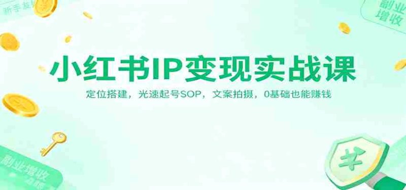 小红书IP变现实战课：定位搭建，光速起号SOP，文案拍摄，0基础也能赚钱-极速网创