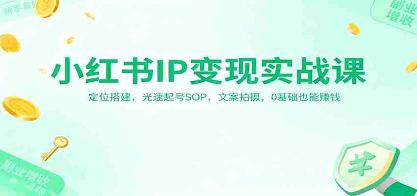 小红书IP变现实战课：定位搭建，光速起号SOP，文案拍摄，0基础也能赚钱-极速网创