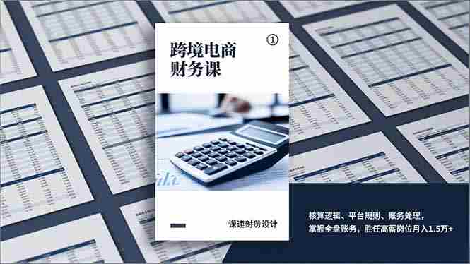 （17036期）跨境电商财务课，核算逻辑、平台规则、账务处理，掌握全盘账务，胜任高薪岗位月入1.5万+-极速网创