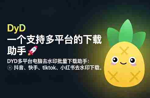 DYD多平台电脑去水印批量下载助手：抖音、快手、tiktok、小红书去水印下载-极速网创