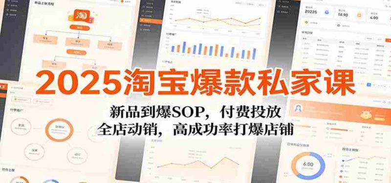 2025淘宝爆款私家课:新品到爆SOP,付费投放,全店动销,高成功率打爆店铺-极速网创