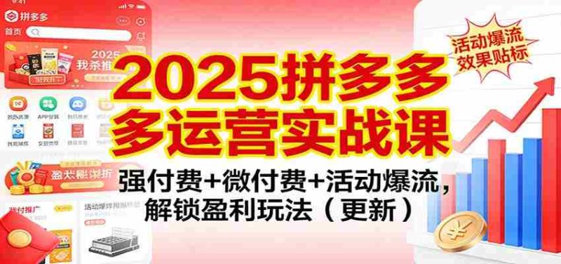 2025拼多多运营实战课:强付费+微付费+活动爆流,解锁盈利玩法(更新)-极速网创