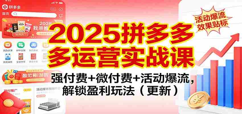 2025拼多多运营实战课：强付费+微付费+活动爆流，解锁盈利玩法（更新）-极速网创
