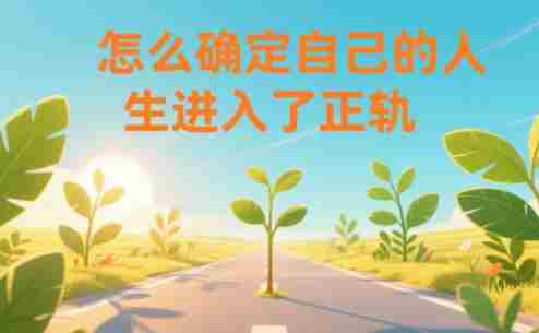 某公众号付费文章：怎么确定自己的人生进入了正轨？-极速网创