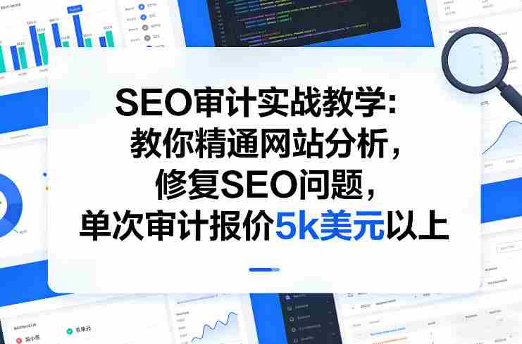SEO审计实战教学:教你精通网站分析,修复SEO问题,单次审计报价5k美元以上-极速网创