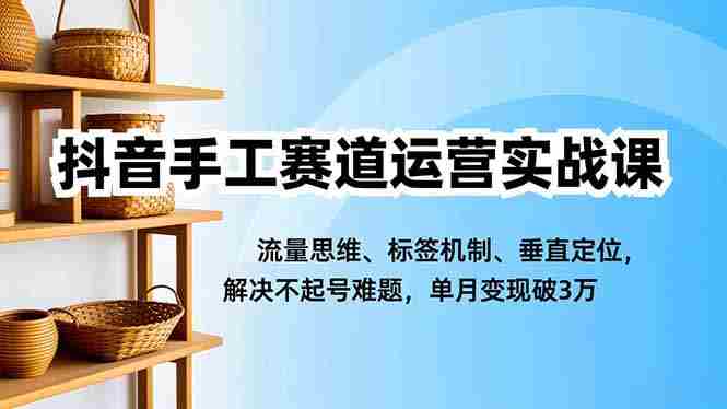 （16667期）抖音手工赛道运营实战课，流量思维、标签机制、垂直定位，解决不起号难题，单月变现破3万-极速网创