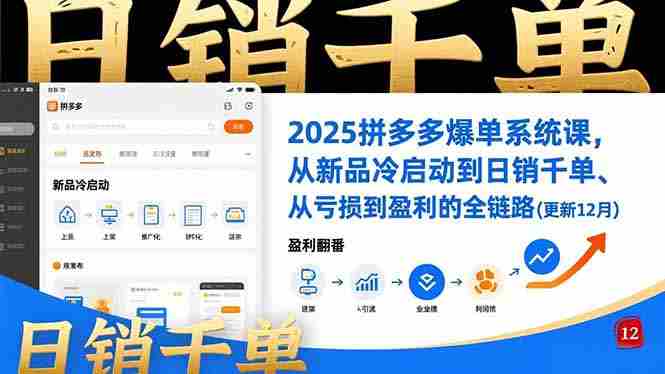 （16894期）2025拼多多爆单系统课，从新品冷启动到日销千单、从亏损到盈利的全链路（更新12月）-极速网创