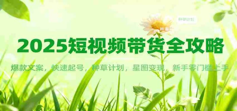 2025短视频带货全攻略：爆款文案，快速起号，种草计划，星图变现，新手零门槛上手-极速网创