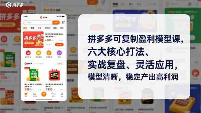（16952期）拼多多可复制盈利模型课，六大核心打法、实战复盘、灵活应用，模型清晰，稳定产出高利润-极速网创