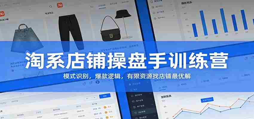 淘系店铺操盘手训练营：模式识别，爆款逻辑，有限资源找店铺最优解-极速网创