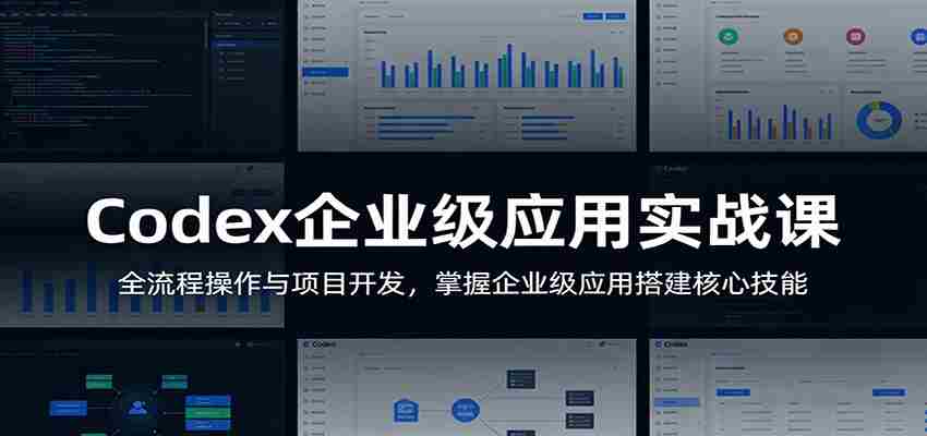Codex企业级应用实战课：全流程操作与项目开发，掌握企业级应用搭建核心技能-极速网创