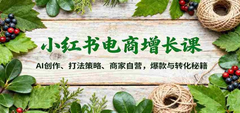 小红书电商增长课：AI创作、打法策略、商家自营，爆款与转化秘籍-极速网创