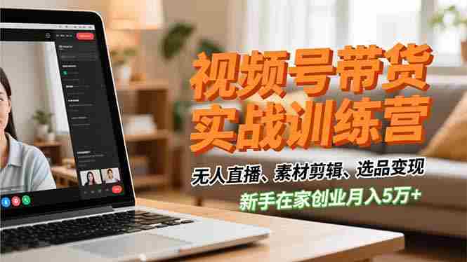 （16762期）视频号带货实战训练营，无人直播、素材剪辑、选品变现，新手在家创业月入5万+-极速网创