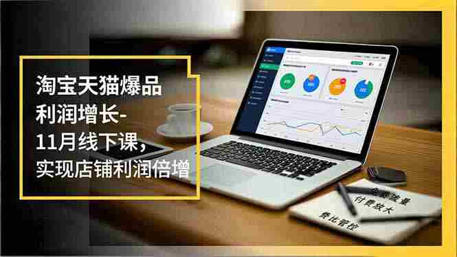 （16824期）淘宝天猫爆品利润增长-11月线下课，免费流量、付费放大、费比管控，实现店铺利润倍增-极速网创