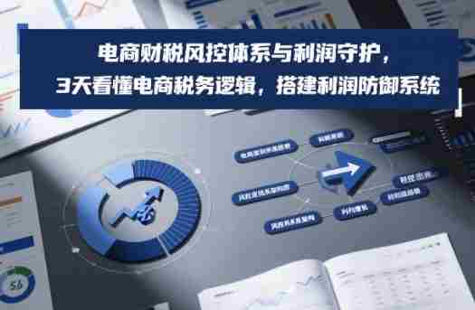 电商财税风控体系与利润守护，3天看懂电商税务逻辑，搭建利润防御系统-极速网创