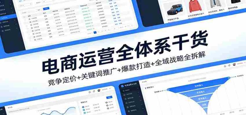 电商运营全体系干货,竞争定价+关键词推广+爆款打造+全域战略全拆解-极速网创