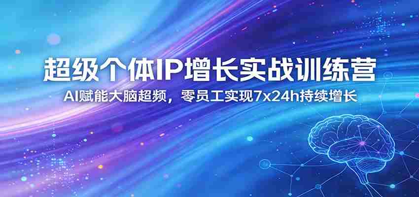 超级个体IP增长实战训练营：AI赋能大脑超频，零员工实现7x24h持续增长（更新）-极速网创