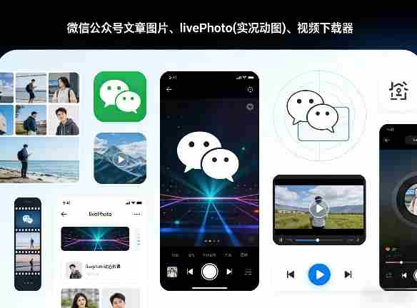 微信公众号文章图片、livePhoto(实况动图)、视频下载器-极速网创