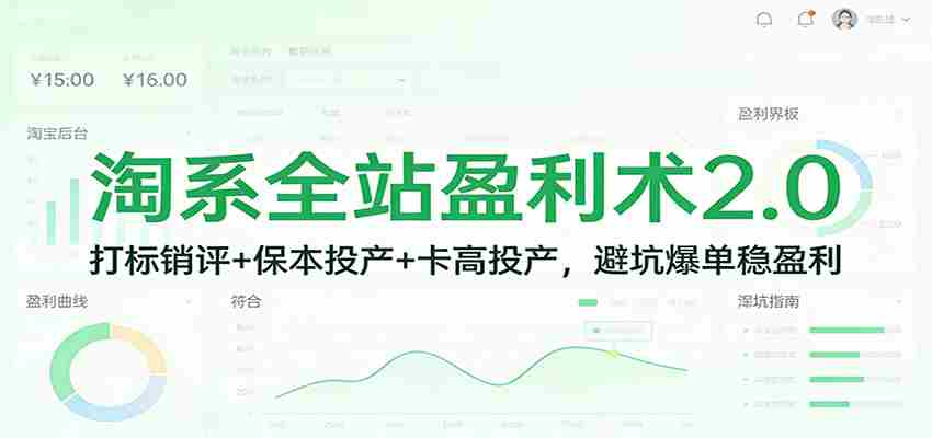 淘系全站盈利术2.0：打标销评+保本投产+卡高投产，避坑爆单稳盈利-极速网创