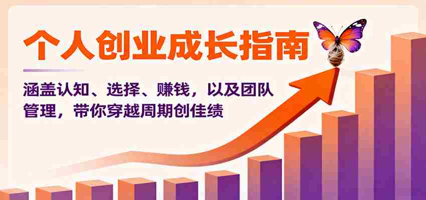 个人创业成长指南：涵盖认知、选择、赚钱，以及团队管理，带你穿越周期创佳绩-极速网创