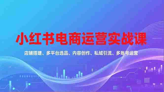 （16695期）小红书电商运营实战课，店铺搭建、多平台选品、内容创作、私域引流、多账号运营等玩法-极速网创