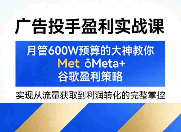广告投手盈利实战课，月管600W预算的大神教你Meta+谷歌盈利策略，实现从流量获取到利润转化的完整掌控-极速网创