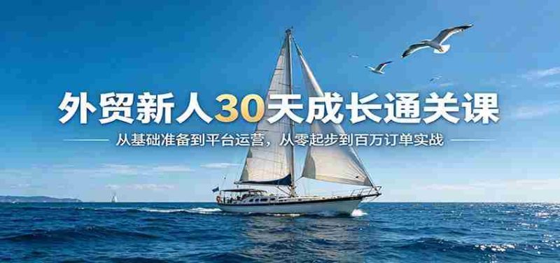 外贸新人30天成长通关课：从基础准备到平台运营，从零起步到百万订单实战-极速网创