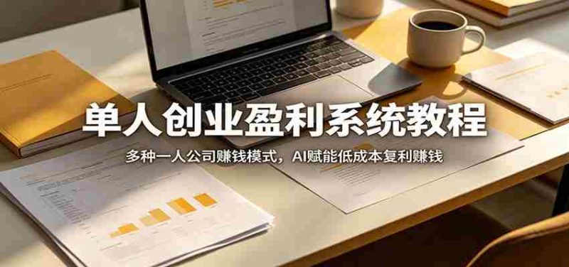 单人创业盈利系统教程：多种一人公司赚钱模式，AI赋能低成本复利赚钱-极速网创